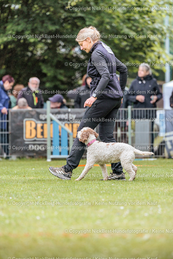 RO-Blumenthal-2026-Nickbest-Hundefotografie-3687 | Dein Hund! Dein Moment! Deine Erinnerungen! Hundefotografie in Bremen Blumenthal. Ich fange die besonderen Momente deines Vierbeiners ein – ob Indoor mit Blitzanlage oder in der freien Natur. Sicher dir dein Moment und dein Termin für eure Erinnerungen.