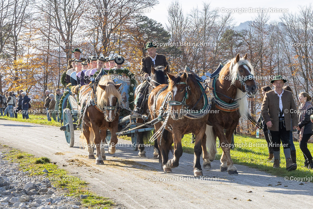 LBT24-1509 | foto-bettina-krinner - Realisiert mit Pictrs.com
