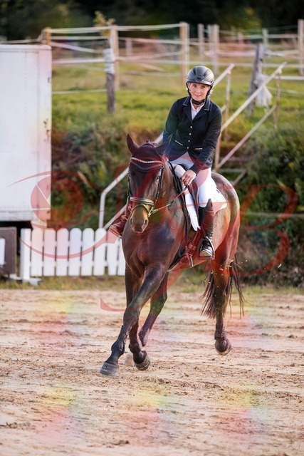 2026_10_03_Siefer-Hof_144106_Z81_13143391 | Professionelle Reitsport-, Turnier- und Eventfotografie von Robert Broda. Galerien mit ausgewählten und bearbeiteten Bildern direkt online ansehen und bestellen.