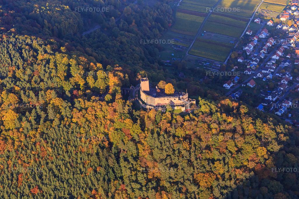 Luftbild: Burgruine der Burg Landeck im herbstlichem Wald bei Abendlicht in Klingenmünster im Bundesland Rheinland-Pfalz in Deutschland. – Foto: IMG_095763.jpg vom 30.10.2016 durch Werner Riehm/FLY-FOTO.de – Auflösung des Originals: 5472 x 3648 px – Klingenmuenster | Burglandeck Klingenmünster