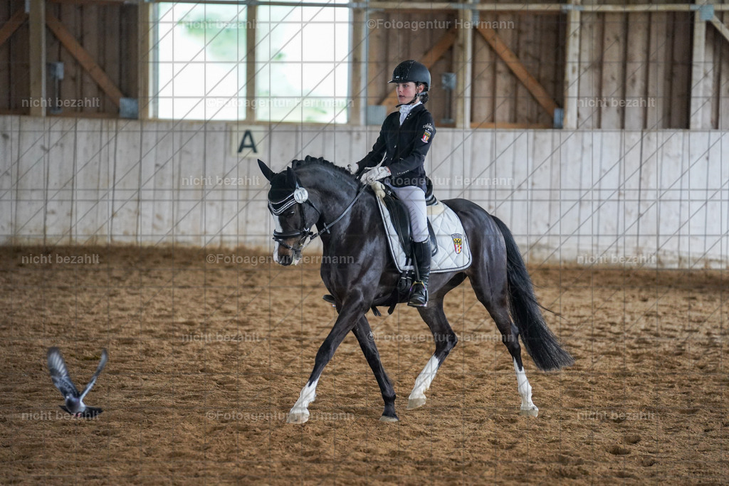 20230520-FAH05080 | Frühjahrsturnier, Landsberg am Lech, 2023, Reitclub Landsberg, Turnierbilder, Fotos Turnier Landsberg, Fotoagentur Herrmann, Turnierfotografen Bayern, Reitsport Fotograf, Pferde Fotograf