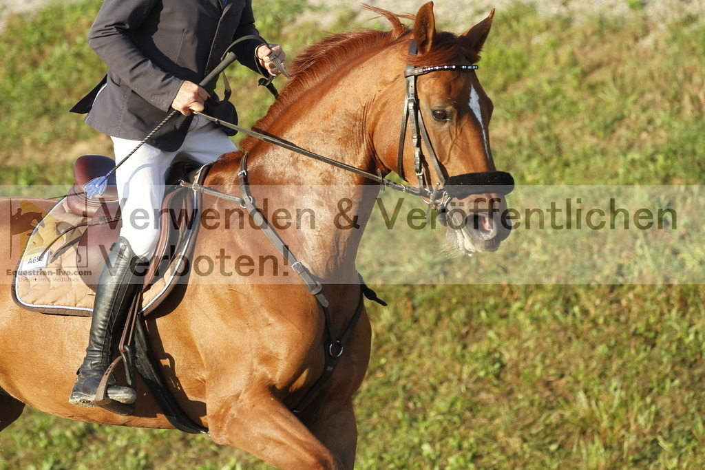 _MG_6983 | equestrian-live-com