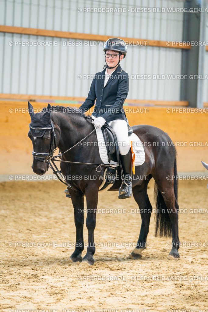 DSC01473 | Pferdegrafie