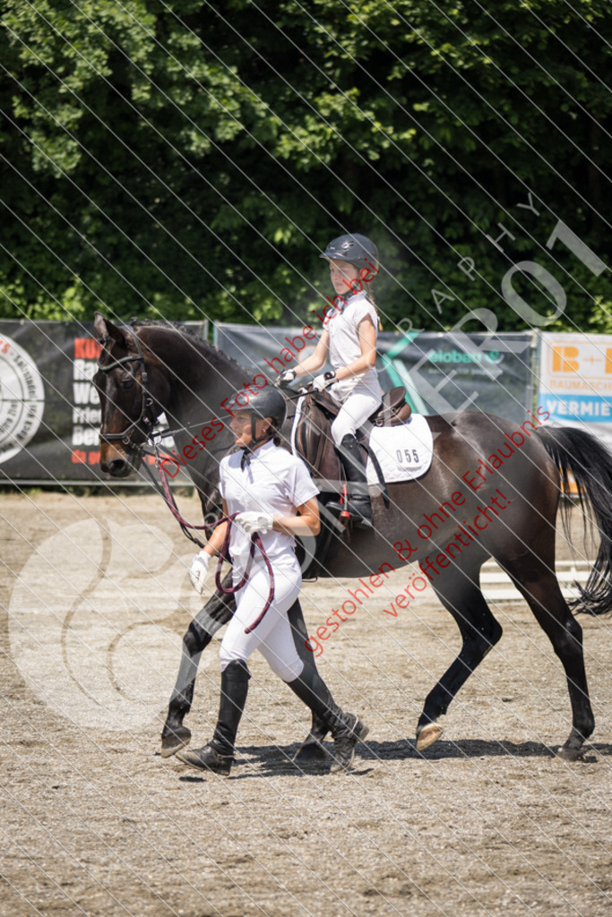 IMG_3536 | Sport-, Event- und Tierfotos in Profiqualität. Einfach auswählen, bestellen und herunterladen. Dein Moment – perfekt festgehalten.