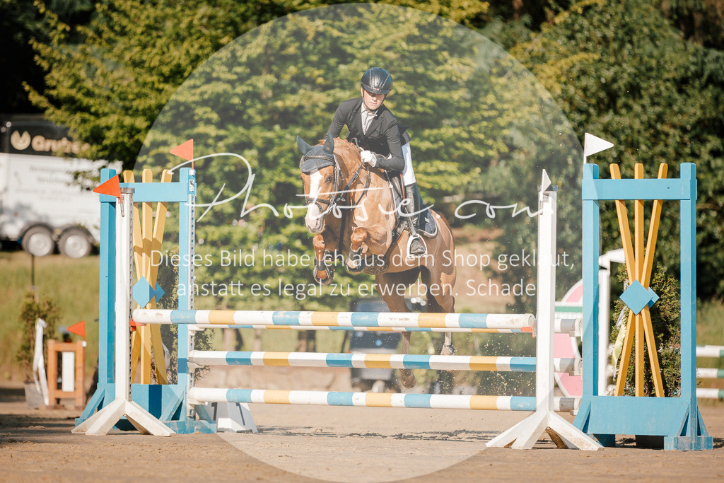 3I6A6207 | Stimmungsvolle Portraits und Reitsportfotografie im Ruhrgebiet und im Münsterland.

Pferdefotografie, Hundefotografie, Tierfotografie, Reportagen, Portraits von Tier und Mensch, Turnierfotografie in Bochum, Recklinghausen, Marl, Haltern am See, Dülmen.. - Realisiert mit Pictrs.com