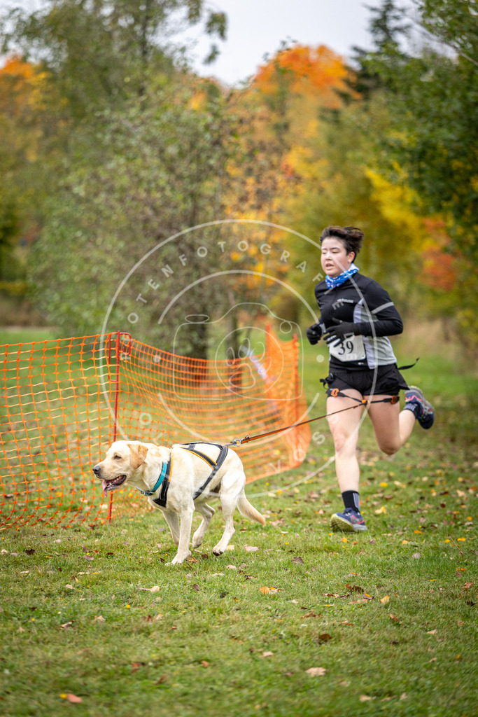 Pfotenfotografie_DV3A2277 | Hundefotografie, Tierfotograf, Pfotenfotografie, Fotoshooting Hund, Hunde Portrait, Hundesport, Hundeportraits, Heideshooting, Hunde, Sportfotograf, Hundefotograf, Turnierhundsport, THS,  - Realisiert mit Pictrs.com