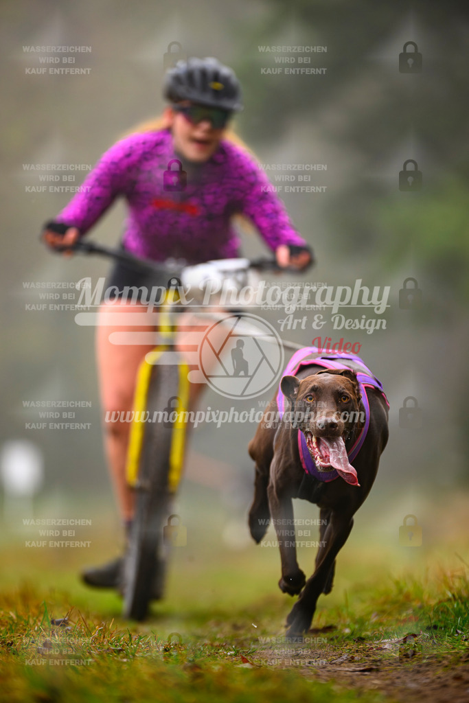 MompixPhotography_Bischwiller2025_Scooter-41 | mompixphotography