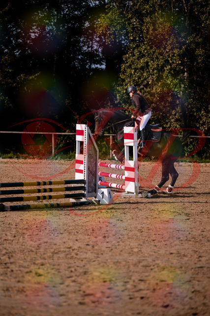 2026_10_03_Siefer-Hof_154341_Z81_61770243 | Professionelle Reitsport-, Turnier- und Eventfotografie von Robert Broda. Galerien mit ausgewählten und bearbeiteten Bildern direkt online ansehen und bestellen.