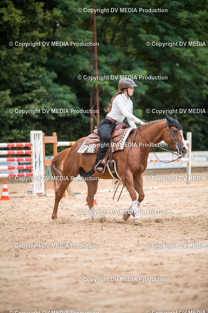 ZS2_8609 | dv-media-shop - Realisiert mit Pictrs.com