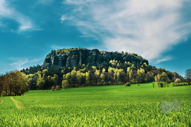 DSC_1462-10 | Shop für Prints Landschaftsfotografie Sächsische Schweiz Naturfotografie in Thüringen Fotos vom Findlingspark Nochten Kloster Sankt Marienstern Bilder Festung Königstein PanoramaRhododendronpark Kromlau FotogalerSchleswig-Holstein Küstenlandschaften