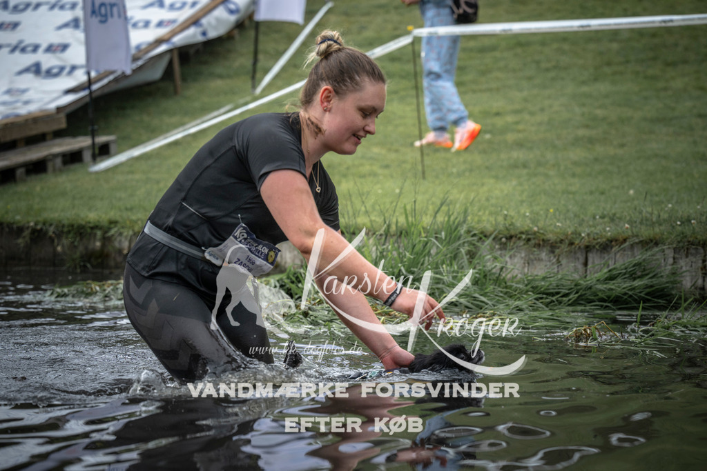 1604_ZZ97575 | kk-dogfotos