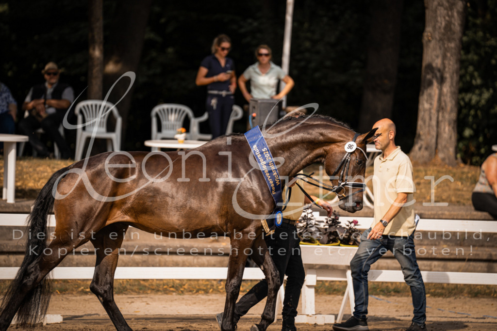 FrER00262 | Leoni Ertmer Photography - Realisiert mit Pictrs.com