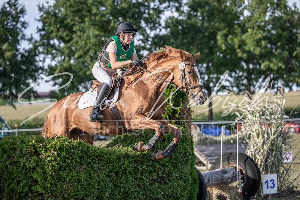 20250907-_3LI4386 | Tierfotografie Pferde, Hunde, Katzen, Haustiere.
Turnierfotografie Reitturniere, Reiten, Springreiten, Dressur in Hanau, dem Main-Kinzig-Kreis und dem Rhein-Main- Gebiet um Frankfurt