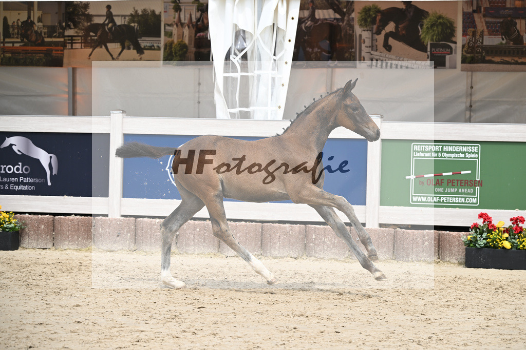 St. Emilion x Zoom_SF_Braig u Meyer_12250632 | hf-fotografie - Realisiert mit Pictrs.com