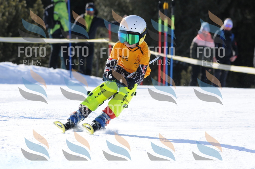 C7153 | holidayphoto