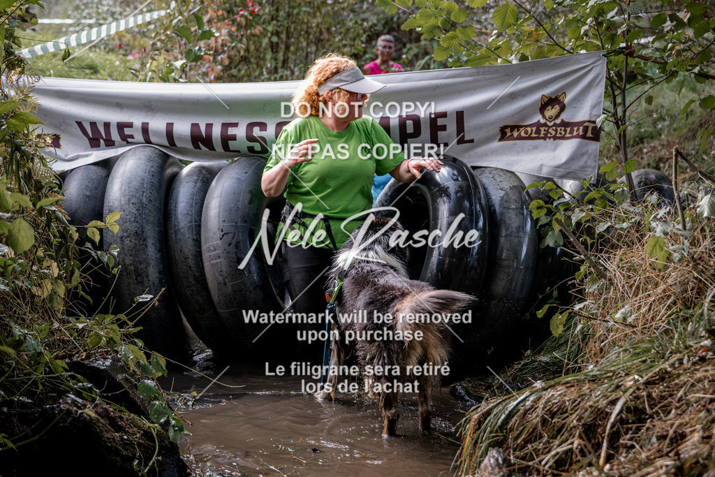 nelerasche_Hunsrück2026_Sa1400-1500_94 | nelerasche