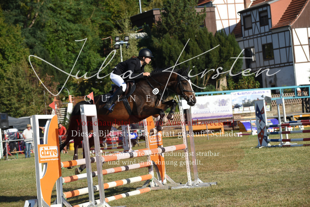 DSC_5130 | Pferde- und Turnierfotografie in Westsachsen. Pferdeportraits, Auftragszeichnungen und intuitive Kunst.