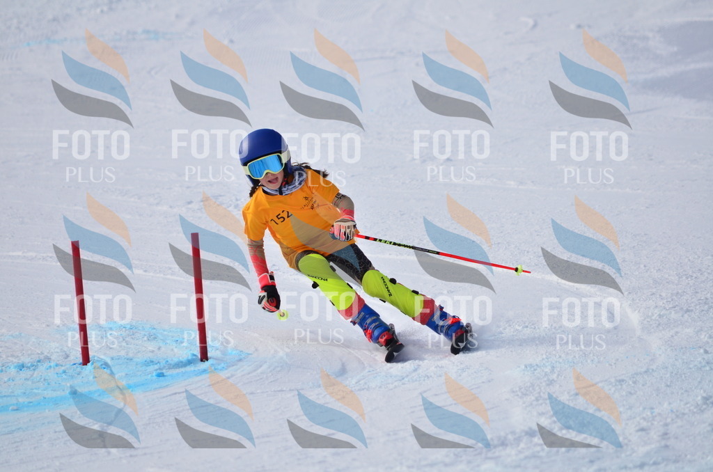 C7771 | holidayphoto