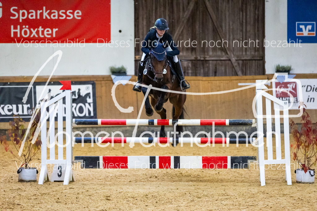 Sth-L-Springen-073 | MomenTaufnahmen Pferdesportfotos