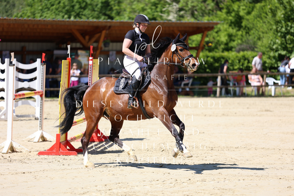 IMGS8625 | pl-fotografie