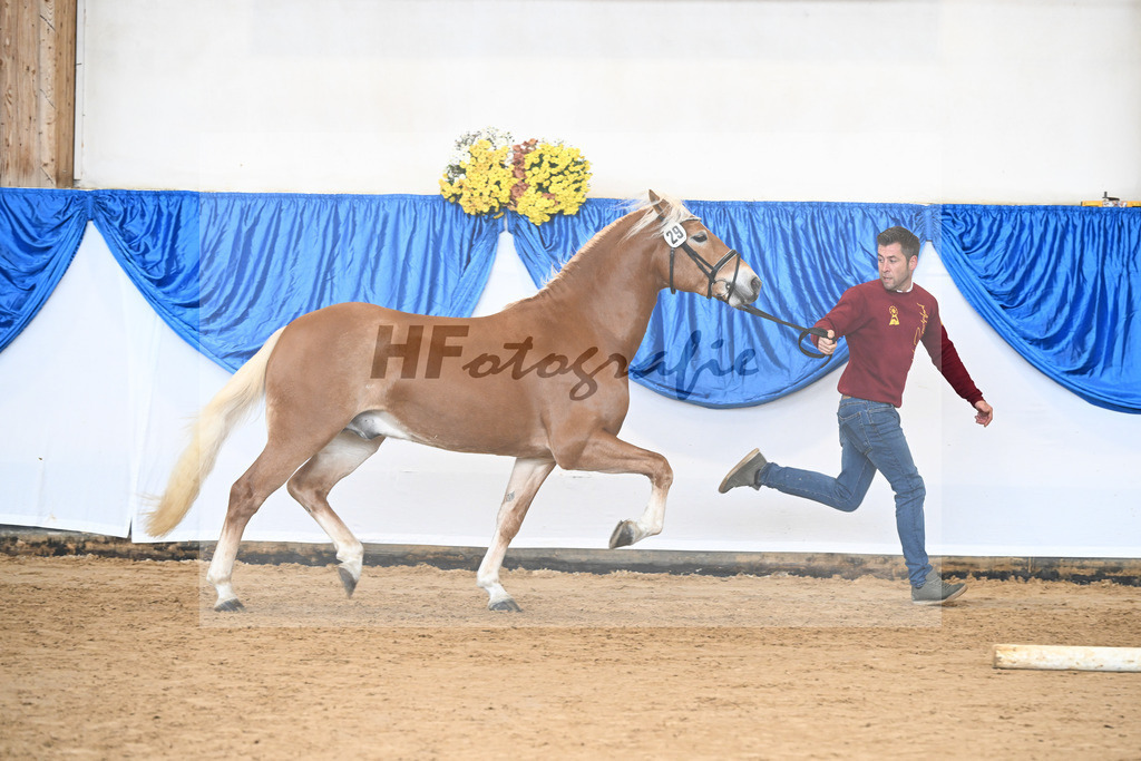 Kat-Nr. 29 nn v. Nio_Carreno-Erdmann_48251130 | hf-fotografie - Realisiert mit Pictrs.com