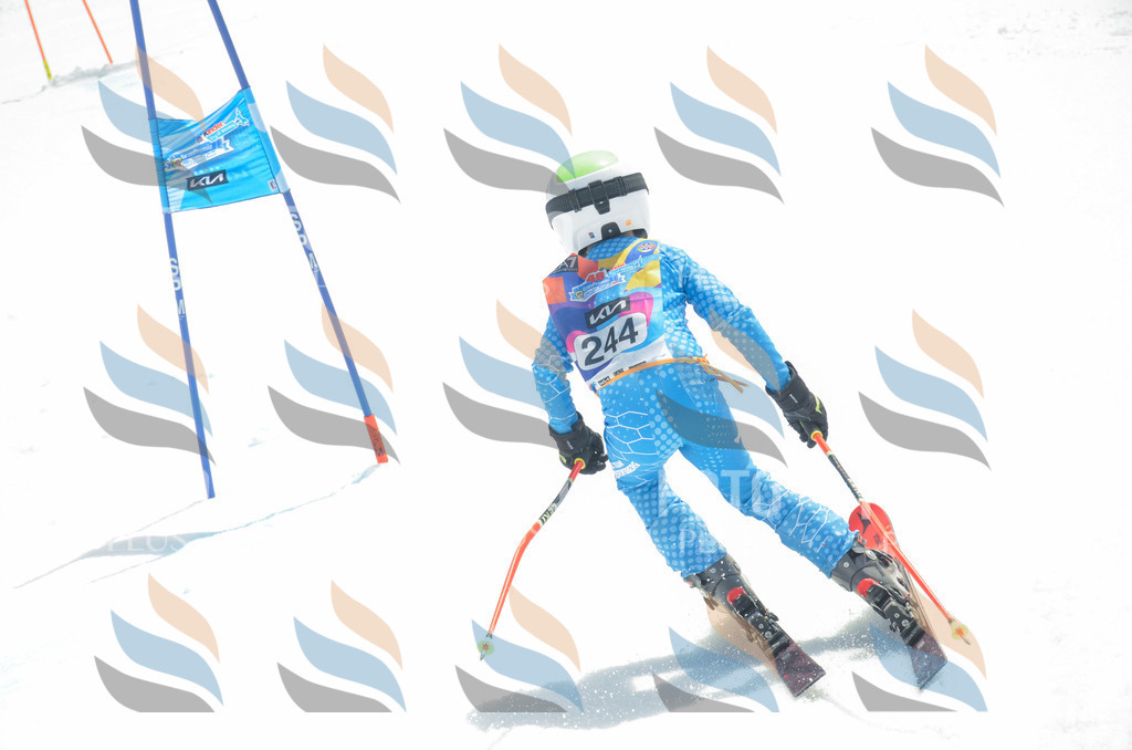 _ELE7473 | holidayphoto