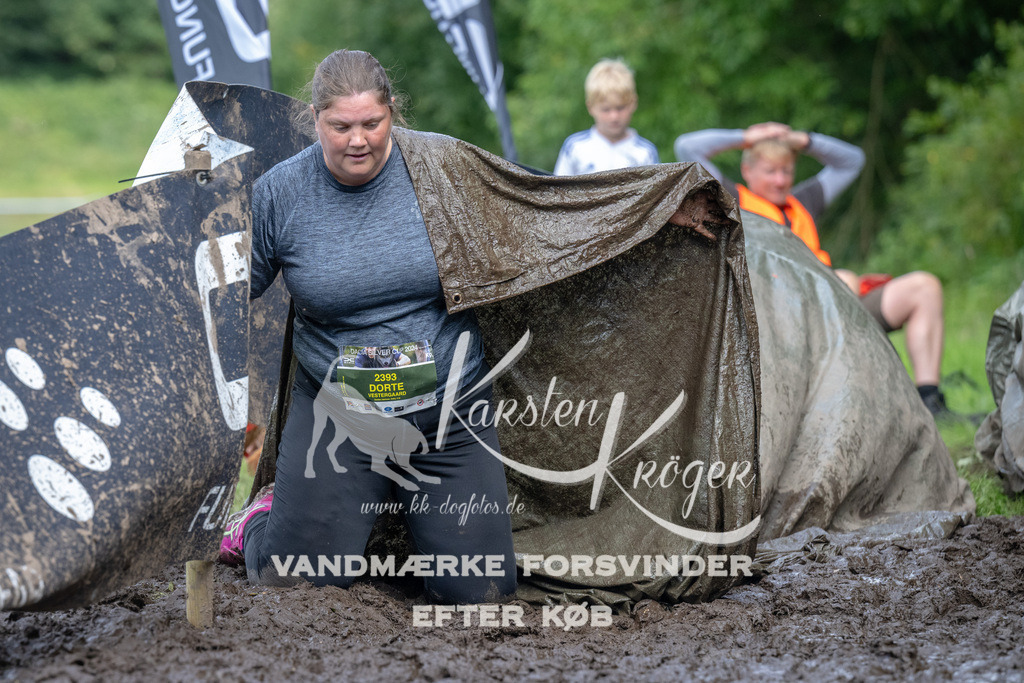 1642_ZZ94144 | kk-dogfotos