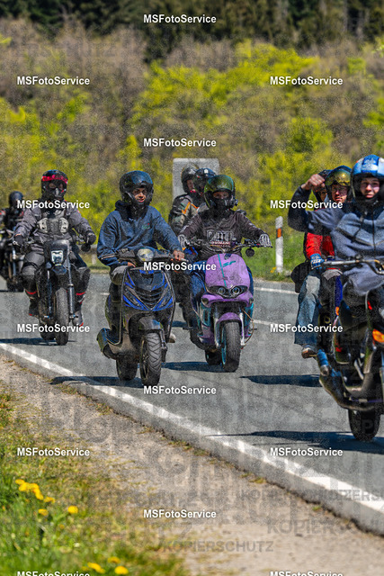 MSFotoServiceXXX476 | MSFotoService - Realisiert mit Pictrs.com