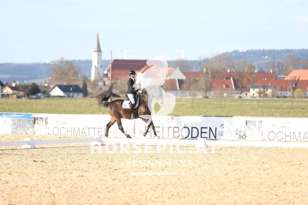 AS8V2191 | Willkommen bei Brunnmayr - Design & Fotografie – Ihrem Spezialisten für Reitturniere und Pferdeveranstaltungen in Oberösterreich, Salzburg und Bayern! Seit über 17 Jahren sind wir leidenschaftlich dabei.