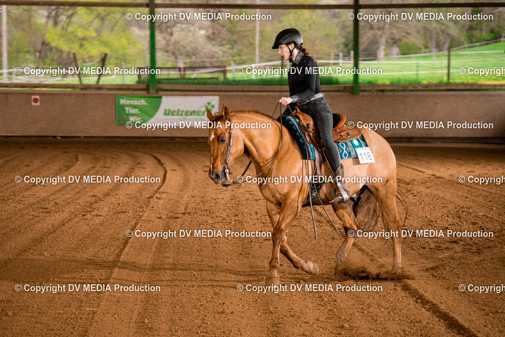 BAL00988 | dv-media-shop - Realisiert mit Pictrs.com