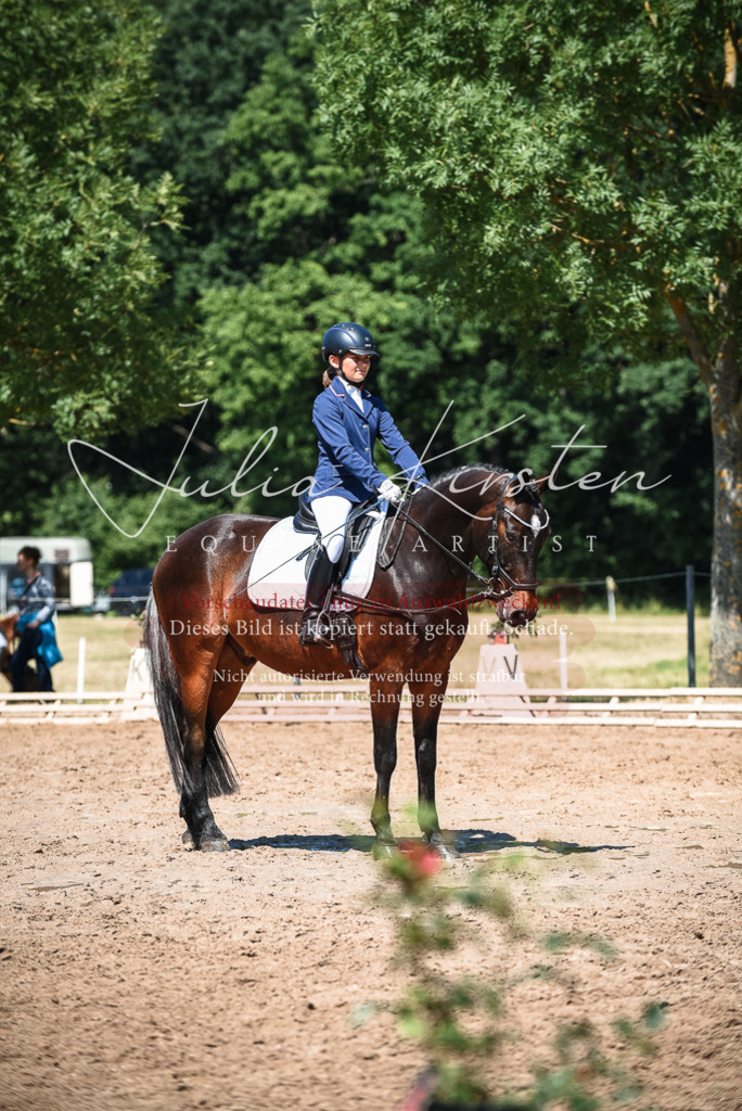 DSC_3353 | Pferde- und Turnierfotografie in Westsachsen. Pferdeportraits, Auftragszeichnungen und intuitive Kunst.