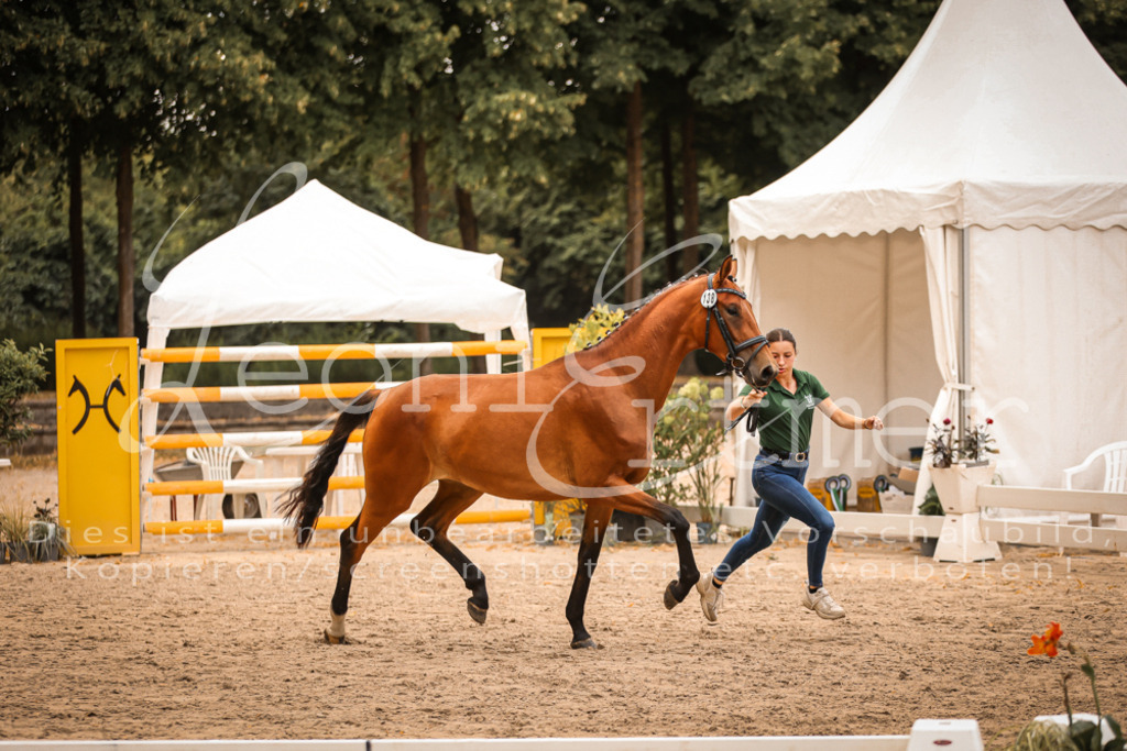 05.So00032 | Leoni Ertmer Photography - Realisiert mit Pictrs.com