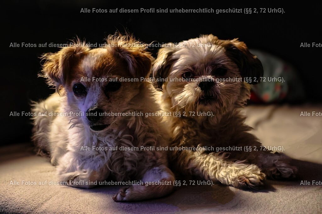 20240313180955_0C4A3271_2-01_3 | krollfotografie - Realisiert mit Pictrs.com