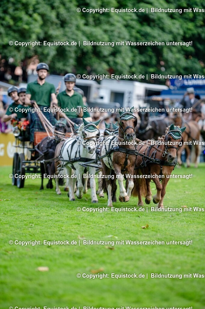 20250606_Lange-Pferdenacht_0108 | Foto: Thomas Hartig