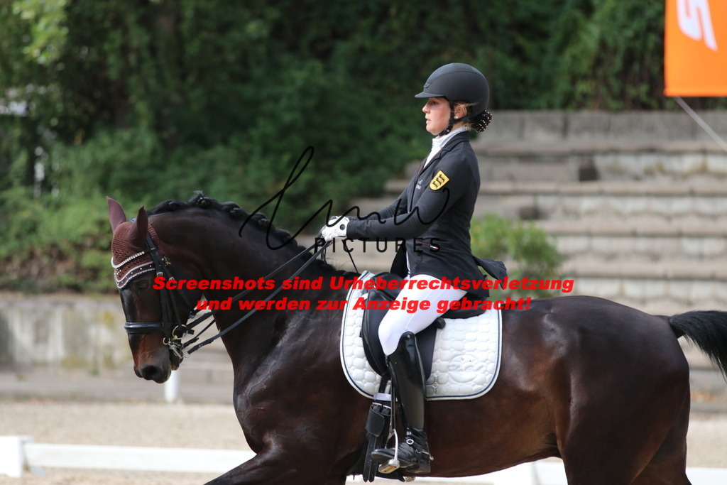 IMG_6666 | lmwpictures - Realisiert mit Pictrs.com