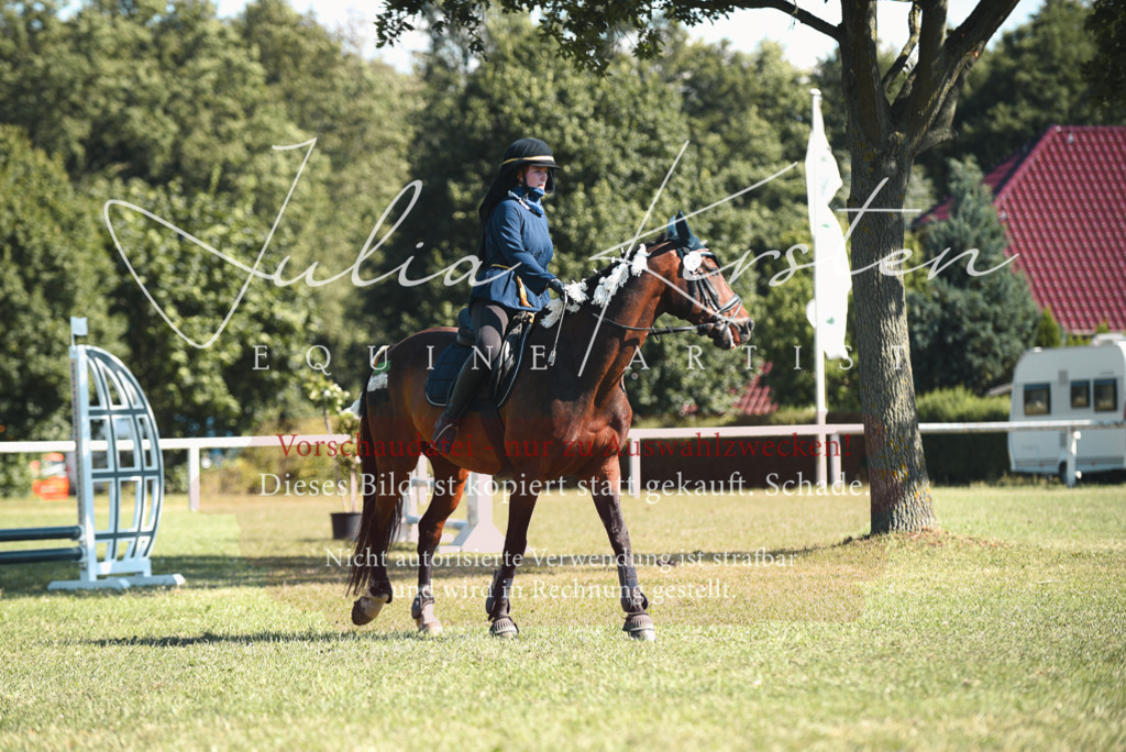 DSC_7574 | Pferde- und Turnierfotografie in Westsachsen. Pferdeportraits, Auftragszeichnungen und intuitive Kunst.