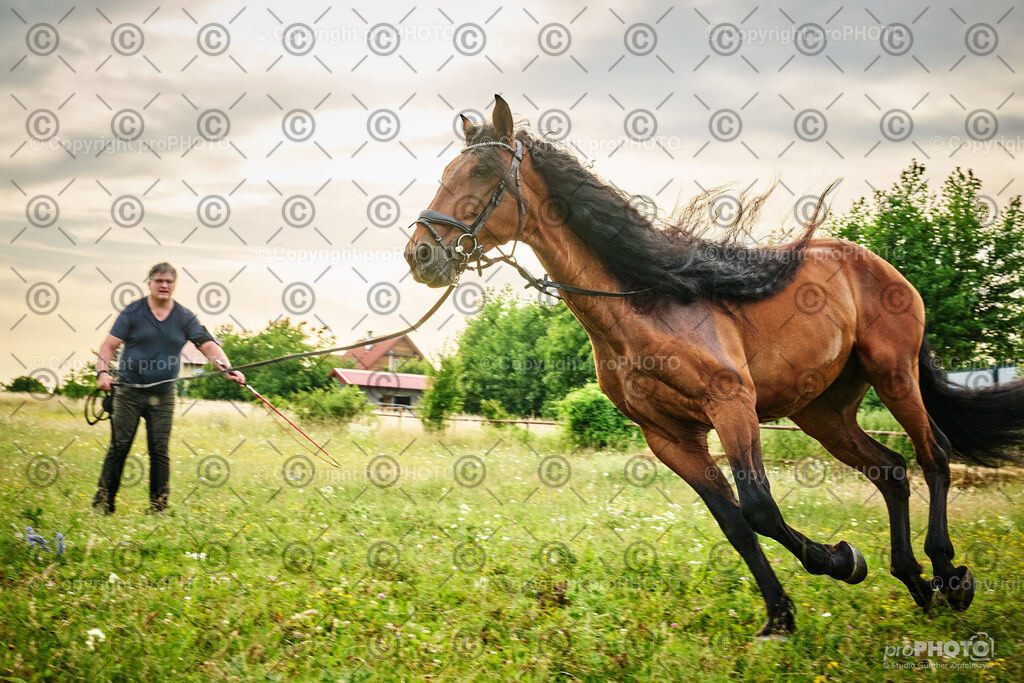 073_202406_Niki-Herodes_NZ9_9779 | proPHOTO - Realisiert mit Pictrs.com