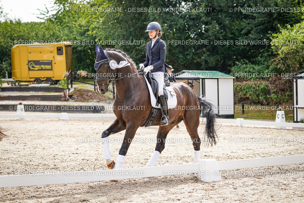 DSC02436 | Pferdegrafie