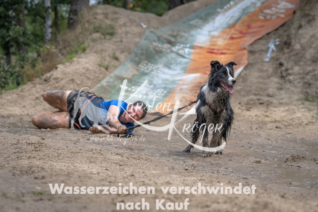 1248_ZZ94157 | kk-dogfotos