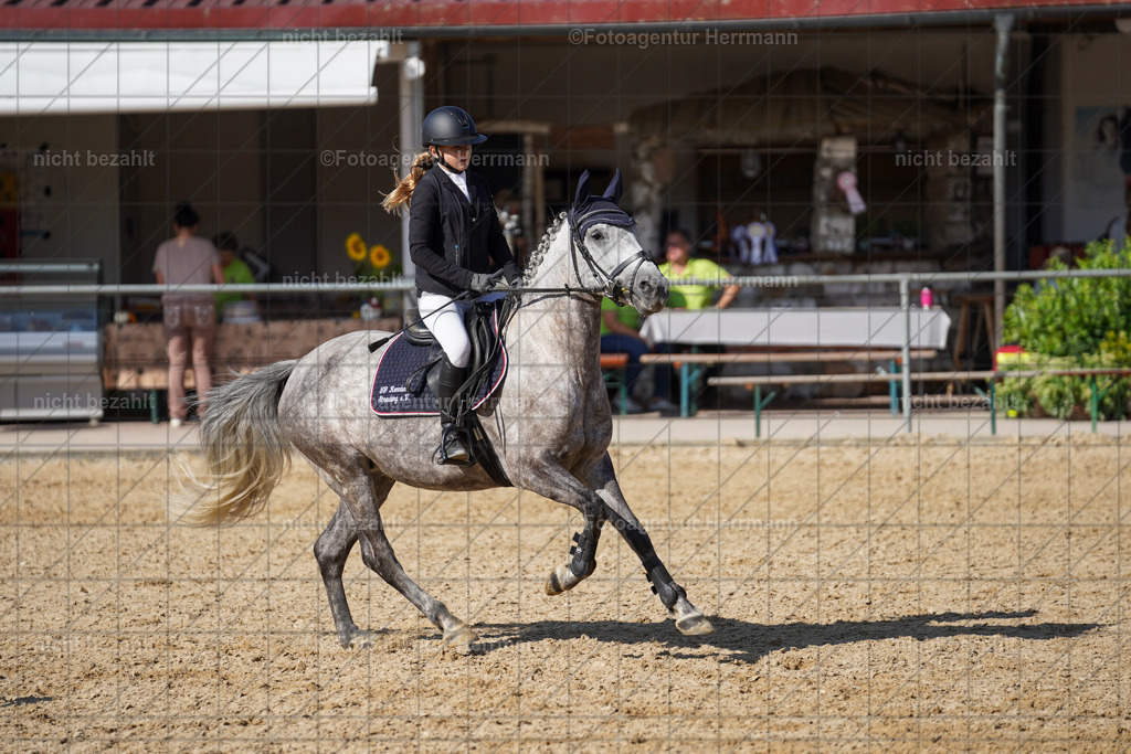 20240824-FAH07392 | Thierhaupten 2024, Bayerisches Landesponyturnier, Turnierbilder, Ponybilder, Turnierfotografen Bayern, Fotoagentur Herrmann