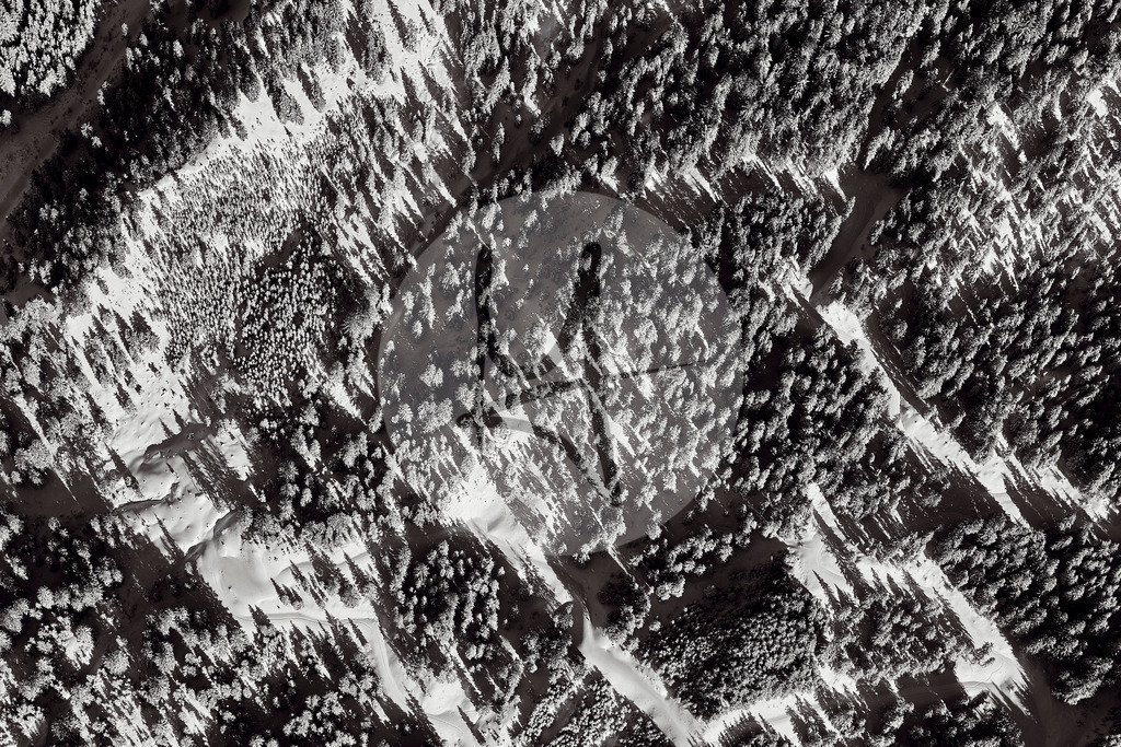 DSC_9856 | Meurer Shop - Realisiert mit Pictrs.com