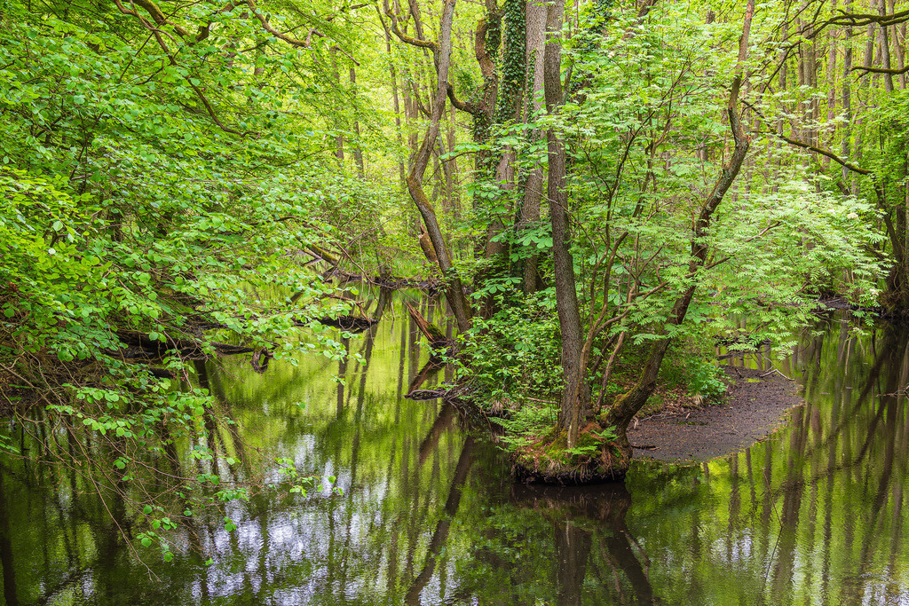 Landschaft im Nebeldurchbruchstal zwischen Serrahn und Kuchelmiß | Landschaft im Nebeldurchbruchstal zwischen Serrahn und Kuchelmiß.
