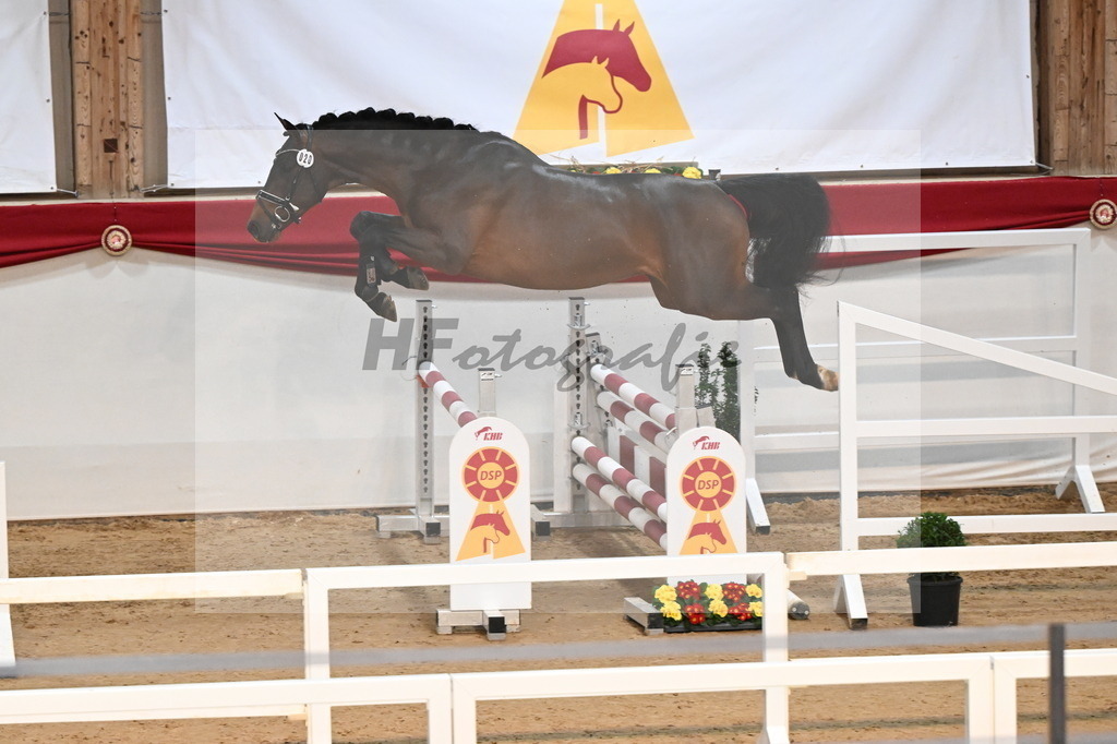 Kat.-Nr. 20 v. Dominatorre_Kohn_3261680 | hf-fotografie - Realisiert mit Pictrs.com