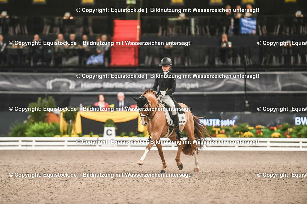 20231115_20_Dressur_Kl-S++_0595_TOMsPiC | Foto: Thomas Hartig