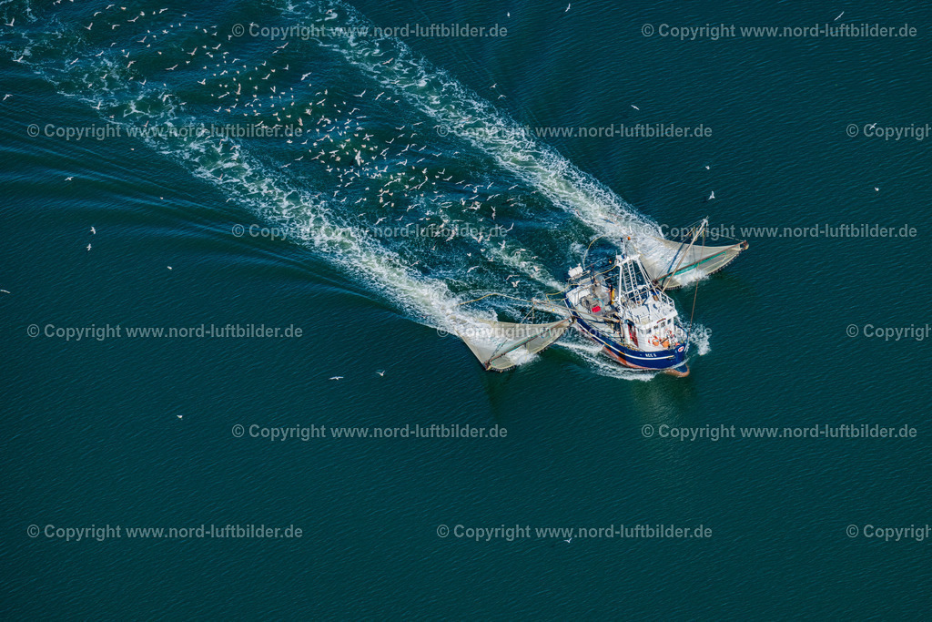 Norderney_Krabbenkutter_Acc_2_Emma_ELS_5865050923 | NORDERNEY 05.09.2023 Krabbenkutter in Fahrt " ACC 2 Emma " in den Prilen vor Norderney im Bundesland Niedersachsen, Deutschland. // Shrimp cutter in motion "ACC 2 Emma" in the Prilen off Norderney in the state of Lower Saxony, Germany. Foto: Martin Elsen