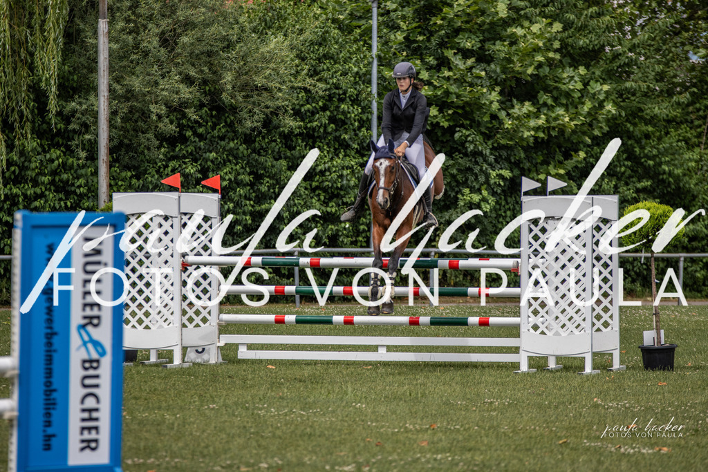 IMG_7080 | Erleben Sie dynamische Sport- und emotionale Tierfotografie in Süddeutschland mit Fotos von Paula. Spezialisiert auf Pferde- und Hundefotografie sowie Sportevents. Kontaktieren Sie mich für einzigartige und ausdrucksstarke Bilder Ihrer besonderen Momente. - Realisiert mit Pictrs.com