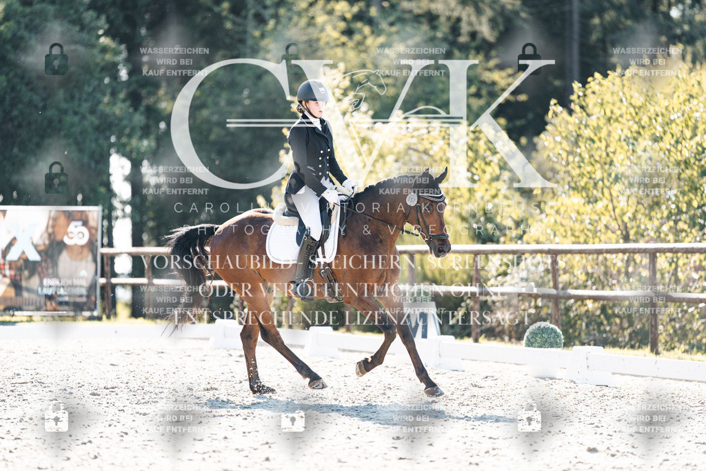 CK906268 | Turnierfotografie Pferdefotografie Trier Rheinland-Pfalz Pferdesport Reitsport Tierfotografie Sportfotografie Pferdevideo Pferdevideografie Equestrianvideography equestrianphotography  - Realisiert mit Pictrs.com