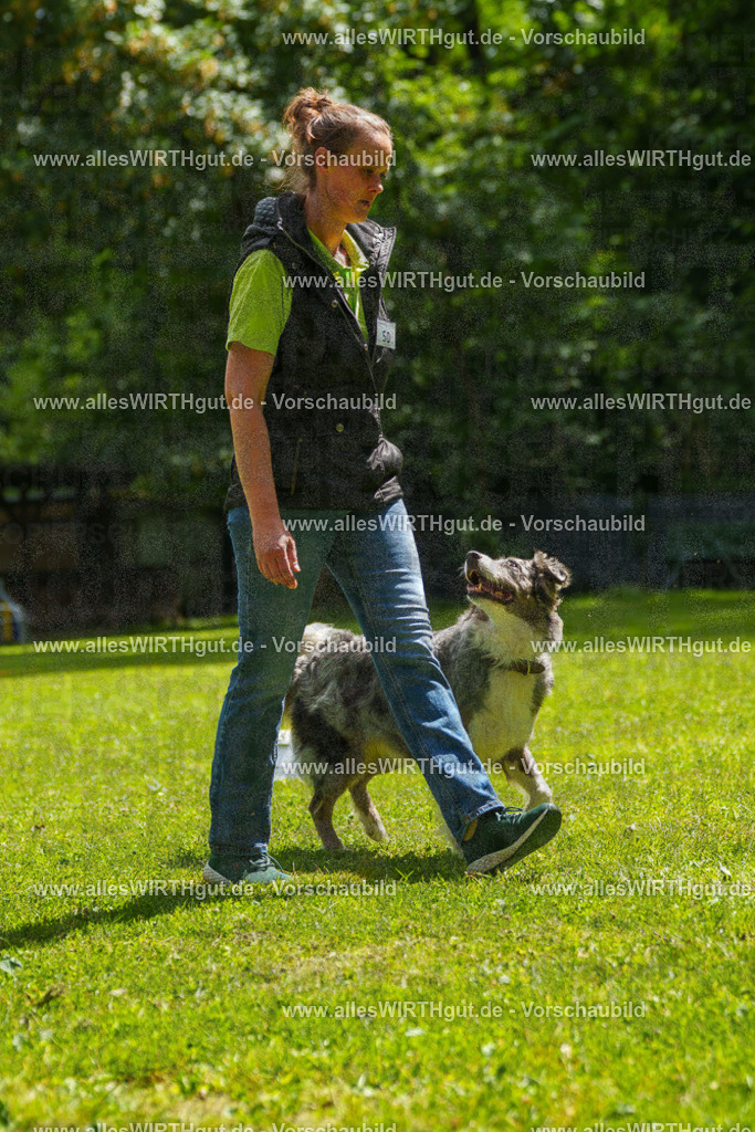 @allesWIRTHgut_Tierfotografie - www.allesWIRTHgut.de - 7R505879 | Professionelle Tierfotografie in Mönchengladbach von Daniel Wirth (allesWIRTHgut). Liebevolle & natürliche Bilder von Hunden & Katzen für unvergessliche Erinnerungen.
