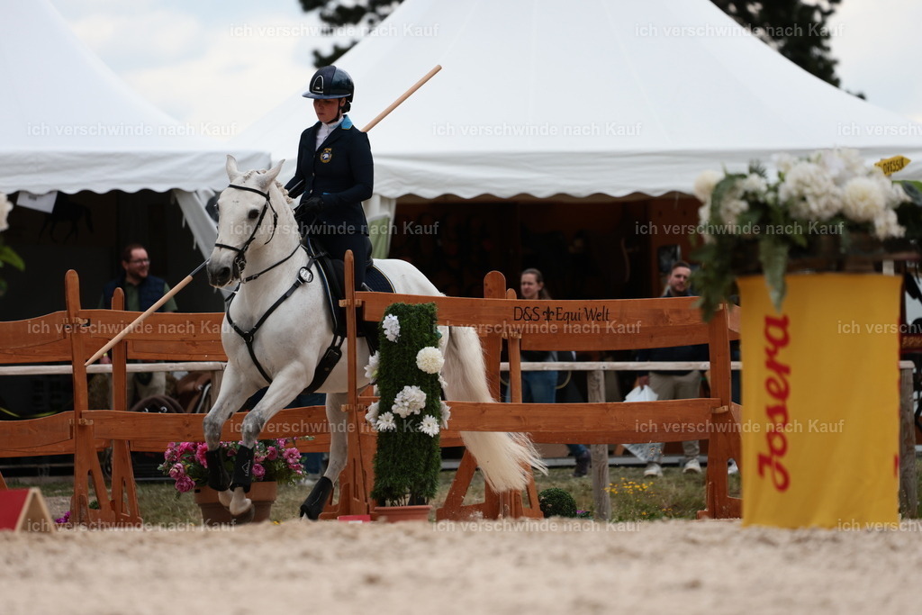 PI26_ST_StoibphotographyC2_L9045.JPG | working equitationturnier fotograf videograf stoibphotography marixx film working equitation deutschland reitsport turnierfotografie eventfotografie equestrian events