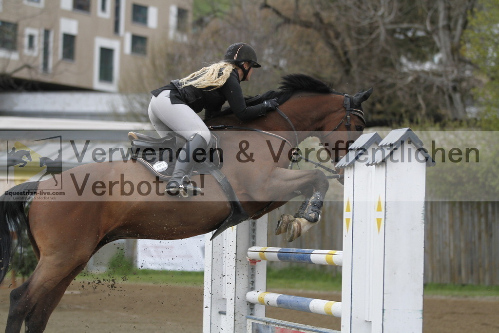 _MG_6507 | equestrian-live-com